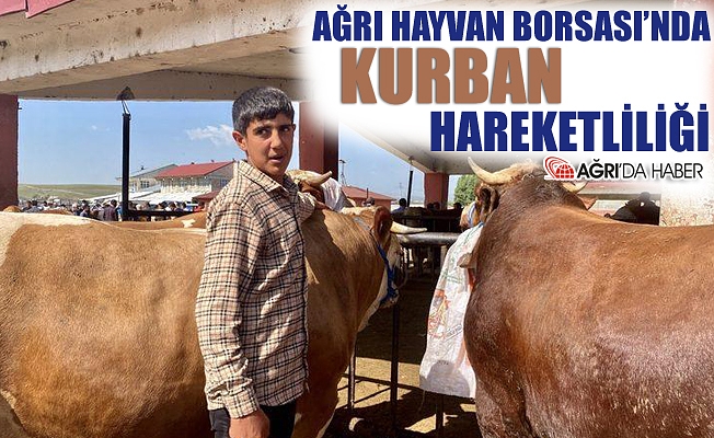 Ağrı Hayvan Borsası'nda Kurban Hareketliliği