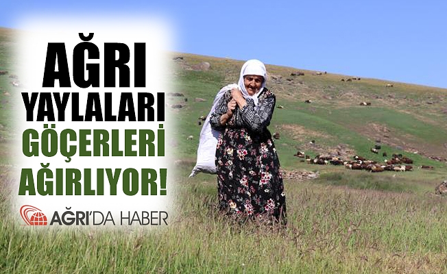 Ağrı Yaylaları Göçerleri Ağırlıyor!