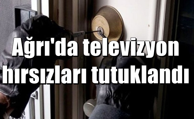 Ağrı'da televizyon hırsızları yakalandı