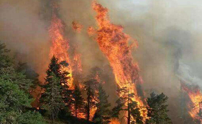Hatay'da Orman Yangını! Müdahale Devam Ediyor