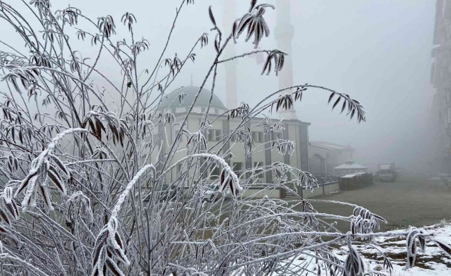 Ağrı'da soğuk hava etkili oldu