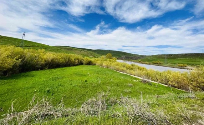 Ağrı, yeşilin tonlarıyla ışık saçtı