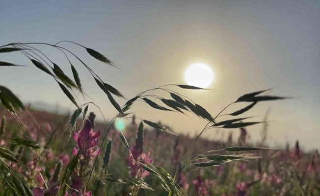 Ağrı'da gün batımı görenleri hayran bıraktı