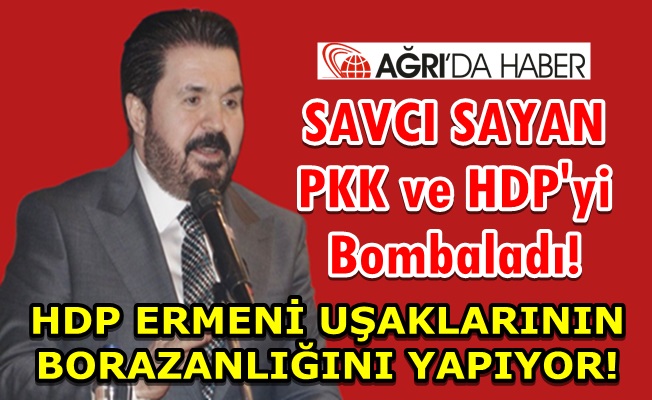 SAVCI SAYAN, HDP ERMENİ UŞAKLARININ BORAZANLIĞINI YAPIYOR!