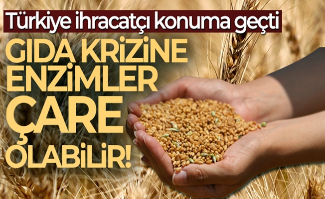 Türkiye 50 yıldır enzim ithal ettiği ülkelere ihracat yapıyor!