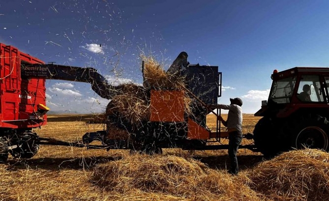 Ağrı'da hasat zamanı başladı