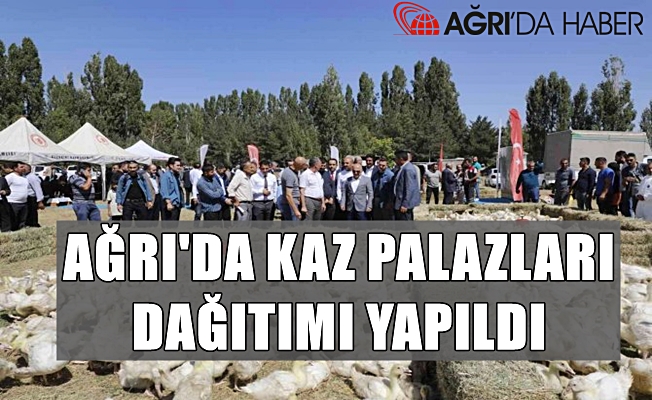 Ağrı'da 5 bin adet kaz palazı üreticilere dağıtıldı