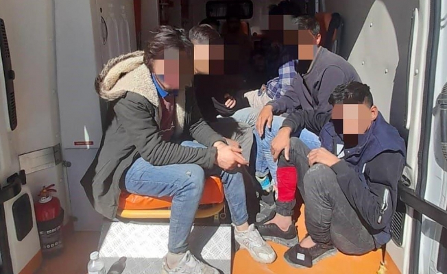 Ağrı'da 12 kaçak göçmen yakalandı