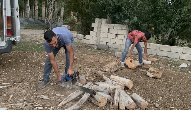 Ağrı'da ağaçlar kışlık odun olmak için kesildi