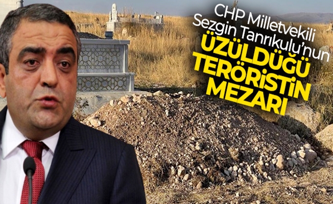 İşte CHP Milletvekili Sezgin Tanrıkulu'nun üzüldüğü teröristin mezarı