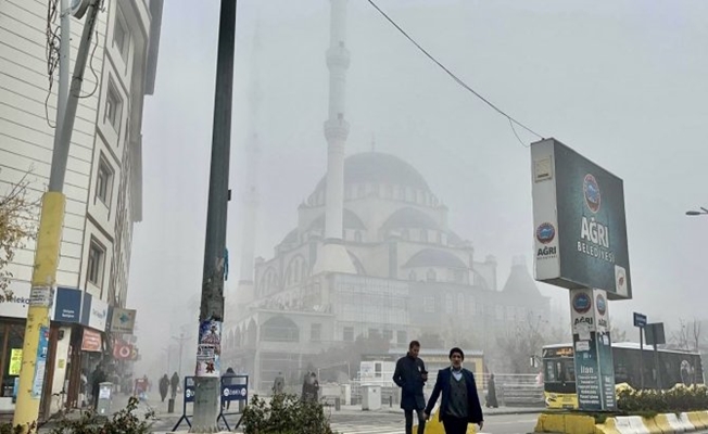 Ağrı'da yoğun sis vatandaşlara zor anlar yaşattı