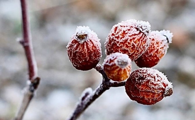 Ağrı, 3 Ocak'ta güne eksi 14 derece ile uyandı