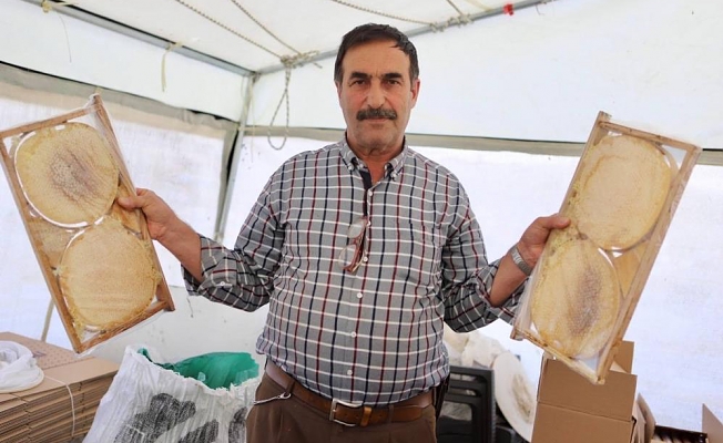 Kanser hastası oğlunu bal ile tedavi eden baba, arıcılığı meslek edindi
