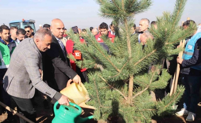 Ağrı’da fidanlar toprakla buluştu