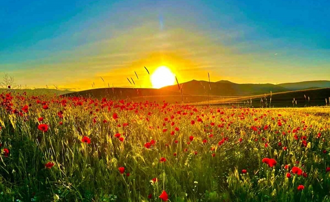 Yeşil ve mavi tonlarını sergileyip cezbeden Patnos Barajı, vatandaşların ilgisini çekiyor