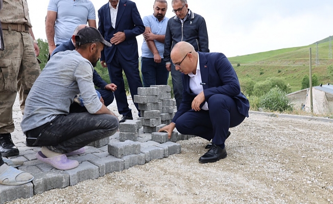 Ağrı Valisi Mustafa Koç, Dedemaksut Köyünde Kilit Parke Çalışmalarını İnceledi
