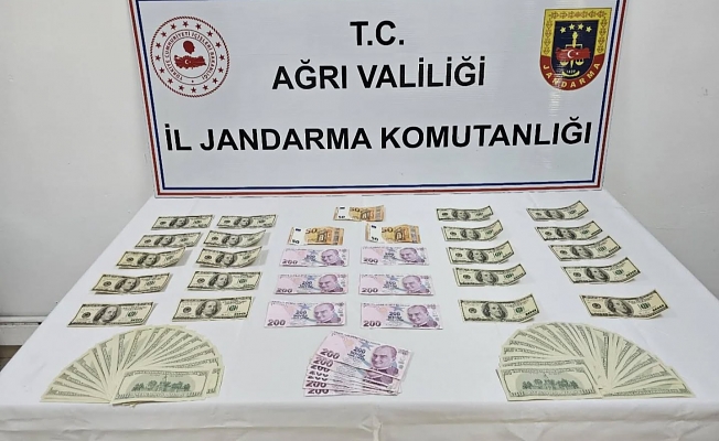 Ağrı’da Jandarmadan Mali Suç Operasyonu: Şüpheli Gözaltına Alındı