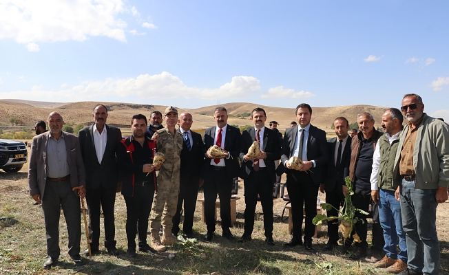 Tutak’ta Şeker Pancarı Hasadı Başladı: Bereketli Sezon Dileği