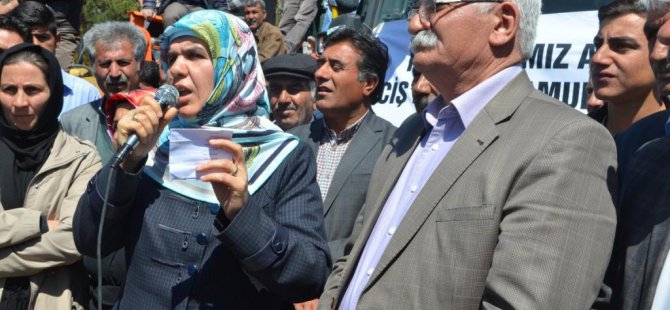 Erciş Belediyesi kiraladığı araçları halka tanıttı