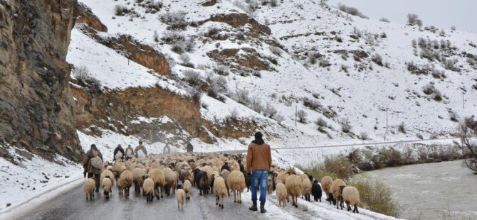 Çatak'ta kar yağışı