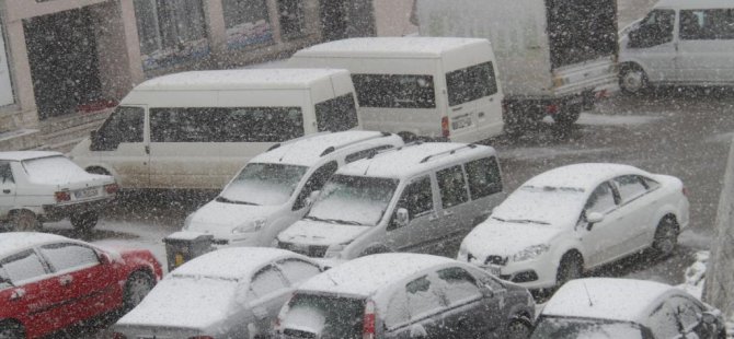 Muradiye'de kar yağışı