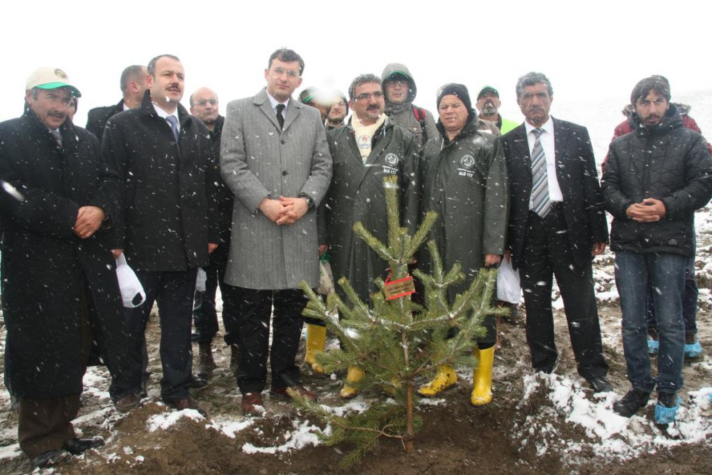 Alaca'da Ermeni çetelerince katledilenler anısına fidan