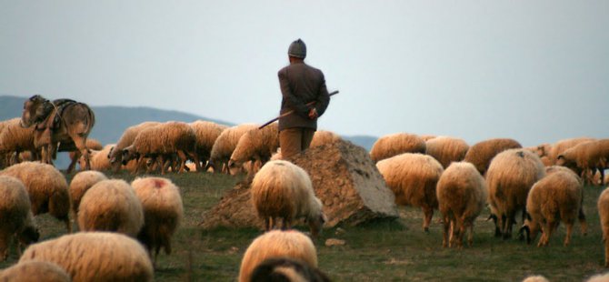 Van'da 9 Çobandan Haber Alınamıyor
