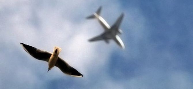 Yerli uçak için babayiğit ortaya çıktı