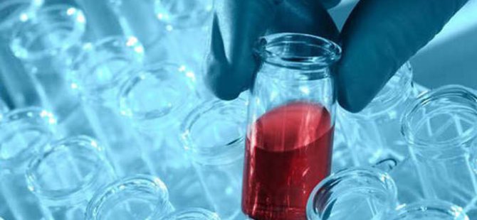 'Kanserin sonu kök hücre tedavisiyle gelecek