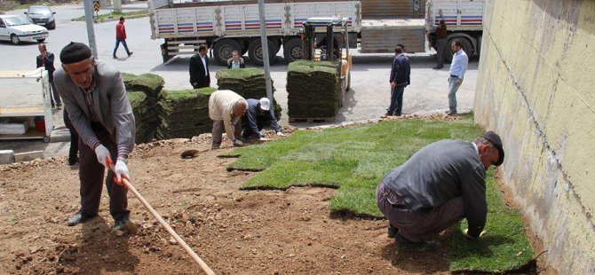 Bitlis'teki refüjleri yeşillendirme çalışmaları
