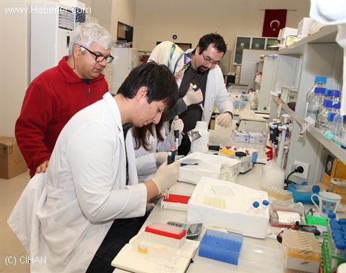 Zeytinyağındaki Hile Dna ile Önlenecek Zeytinyağındaki Hile Dna ile Önlenecek