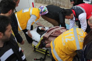 Ayının saldırısına uğrayan kadın ağır yaralandı