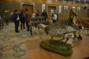 YYÜ'de 1. Ulusal Yaban Hayvanları Kongresi