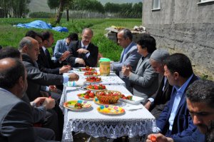 Muş'ta çilek hasadı başladı