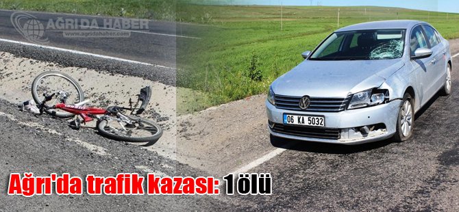 Ağrı'da trafik kazası: 1 ölü