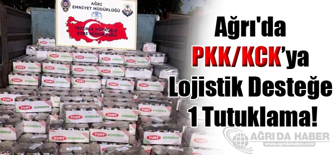 Ağrı'da PKK'ya Lojistik Desteğe 1 Tutuklama!