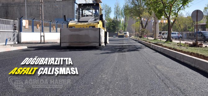 Doğubayazıt'ta asfalt çalışması