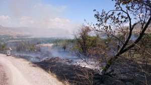 Kale'de kayısı bahçesinde yangın