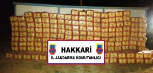 Hakkari'de kaçakçılıkla mücadele