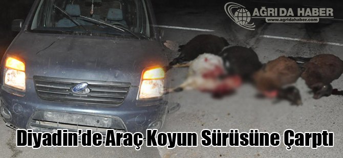 Ağrı'da Trafik Kazası: 8 Koyun Telef Oldu