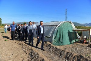 Erzurum'da sebze üreticiliği