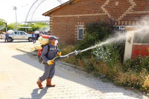 Edremit Belediyesinden ilaçlama çalışması