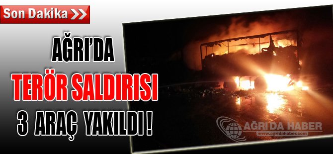 Flaş ! Terör Örgütü Yol keserek 3 Araç Yaktı