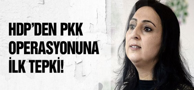 HDP'den  Kandil operasyonuna ilk tepki!