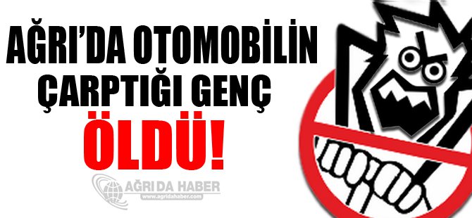 Patnos ilçesinde otomobilin çarptığı kişi hayatını kaybetti.