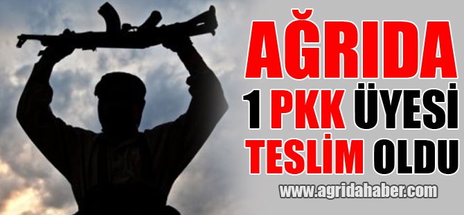 Ağrı'da bir PKK üyesi Teslim oldu