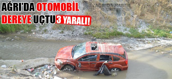 Ağrı'da otomobil dereye uçtu: 3 yaralı