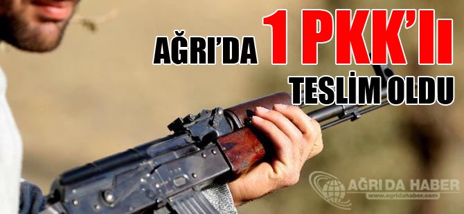 Ağrı'da 1 PKK'lı teslim oldu