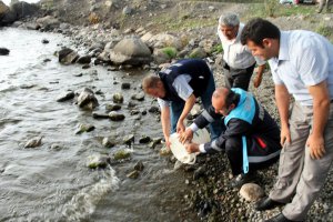 Kars göllerini balıklandırma çalışmaları