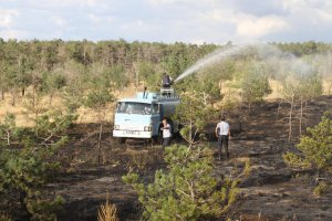 Erzurum'da arazi yangını